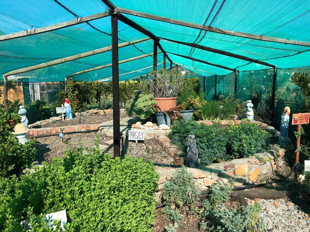 Herb garden at the River at Starry Starry Night, Route 62, Montagu, South Africa Herb garden at the River at Starry Starry Night, Route 62, Montagu, South Africa