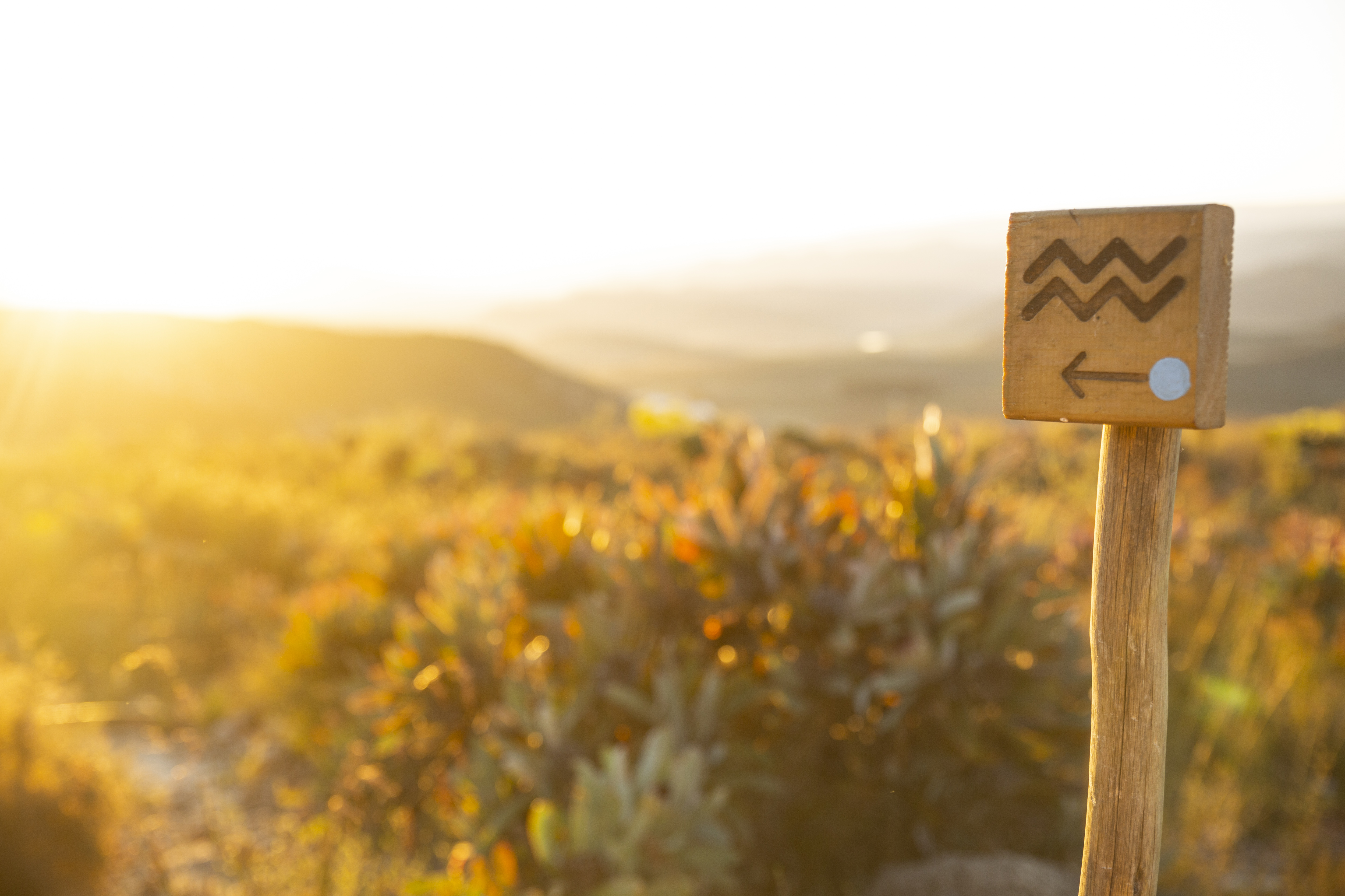 _40A6145 Hiking routes