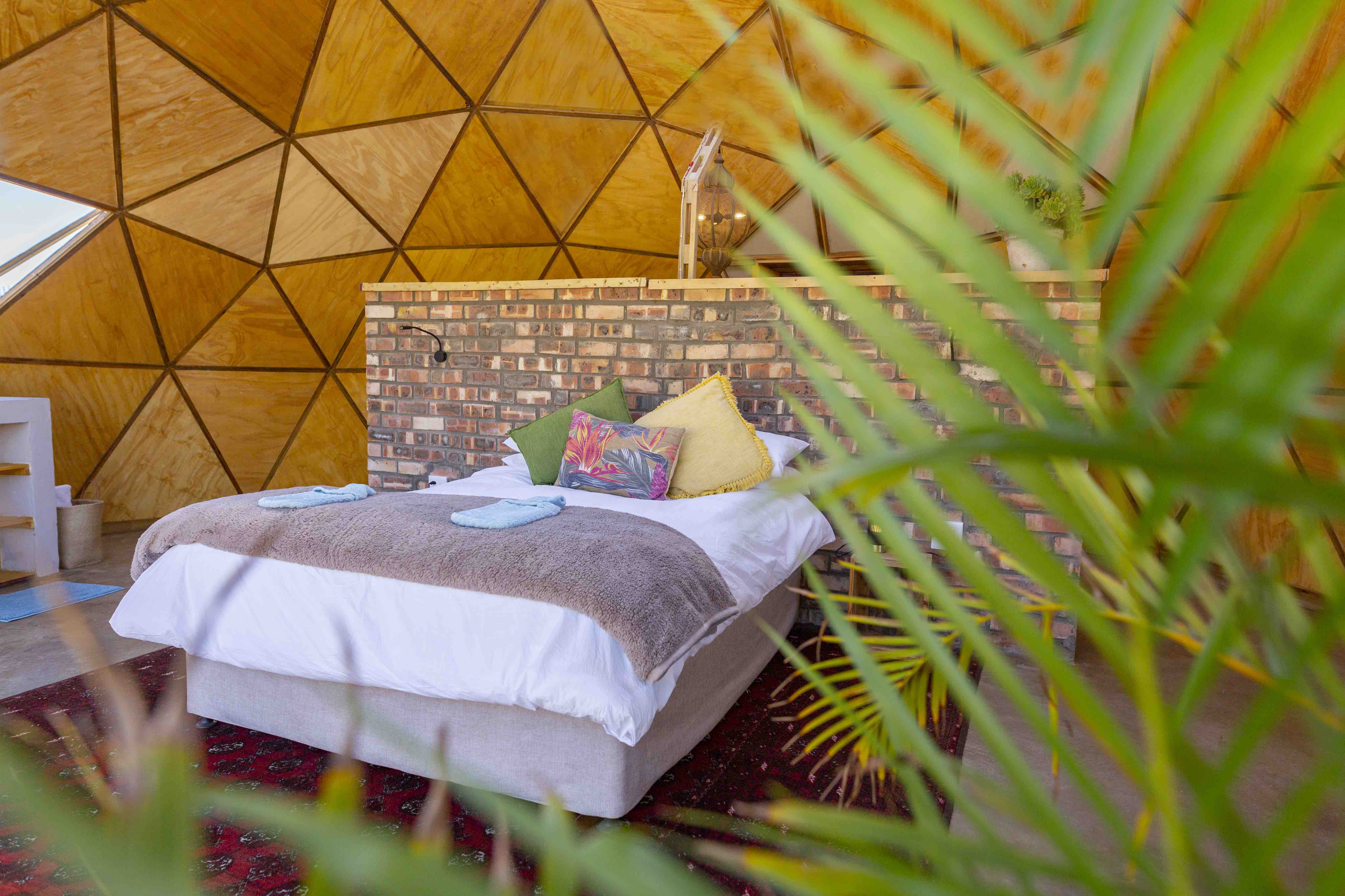 Gaia_Dome_Inside-14 lr Main bed within Gaia StarDome